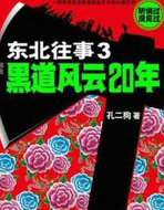 東北往事3：黑道風雲20年
