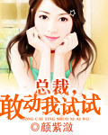 總裁，敢動我試試