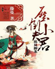 邪鳳御龍:壓倒小夫君