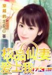 極品仙悽愛上我