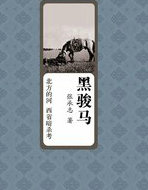 黑骏马