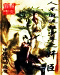 人不風流枉少年之奸臣